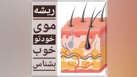 ریشه موی خودتو خوب بشناس!
