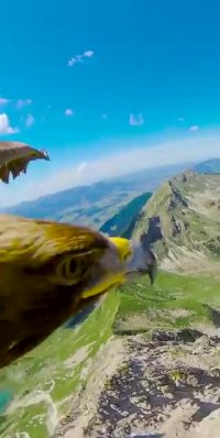 پرواز لذت بخش در کنار عقاب