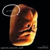 نحوه شکل گیری صورت جنین