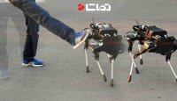سوء استفاده شرکت بوستون داینامیکس از ربات های بی گناه