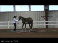 اموزش سواری