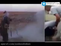 ⭕️ یک مشت وطن فروش مانده اند چطور حماسه #شهید_محسن_حججی