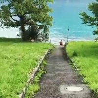 سوئیس تیکه ای از بهشت