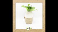 گلدان زینتی اینجه