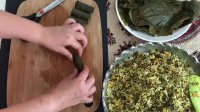 How to make Dolmeh  Grape leaves (Iranian Dolmeh barg mo ) دلمه برگ مو