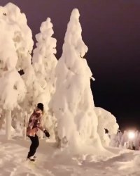 پیست اسکی ساریکامیش ترکیه