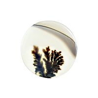 نگین عقیق شجر قائنات تک درخت طبیعی بسیار زیبا کد N07