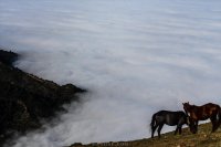 ببین چه جوری خونه هه رفت تو مه
