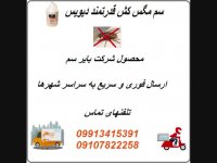 فروش سم مگس فوق العاده قوی بدون بو و موثر