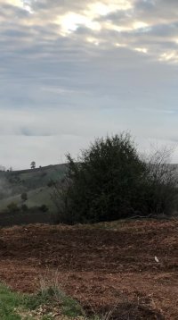طبیعت بکر جاده شمال