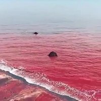 تور قشم -ساحل سرخ قشم