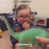 پسر کوچولویی که اسم همه دایناسور ها رو بلده