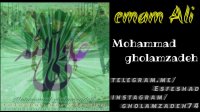 علی (ع) محمد غلامزاده