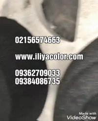 فروش دستگاه هیدروگرافیک/فیلم هیدروگرافیک 09362709033