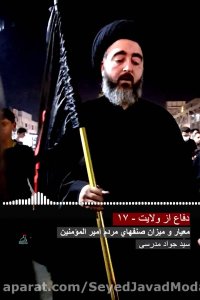 دفاع از ولایت - 17 - معیار و میزان صنفهای مردم امیر المومنین