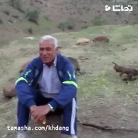 تفرجگاه بخون چنارویه آباده طشک