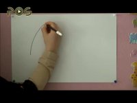 نقاشی کودک / لاک پشت