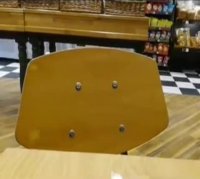 دزدی پرنده از مغازه!