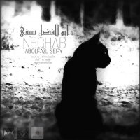 ابوالفضل سیفی_نقاب