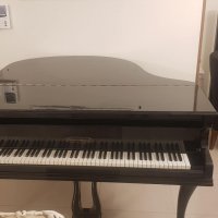 کوک و رگلاژ پیانو دیواری و‌گرند 09125633895