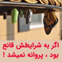 آیا قانع بودن خوبه یا بده ؟!