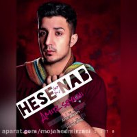 دانلود آهنگ جدید امیر شیخی به نام حس ناب