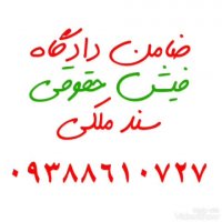 ضامن دادگاه -فیش حقوقی 09388610727