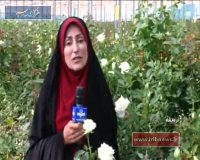 مزایای کشت گلخانه‌ای