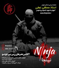 نینجوتسو (نینجاهای واقعی ) bujinkan
