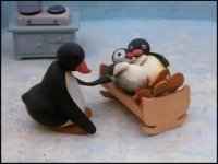 مجموعه کامل سریال پینگو Pingu شماره 2