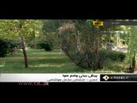 مجری هواشناسی صدا و سیما هنگام اجرای زنده بیهوش شد