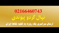 فروش نهال گردو شیلی 09120460354