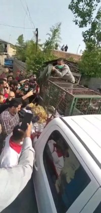 پلنگ قائم شهر زمین گیر شد