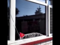 کلیپ جالب شستن شیشه (2019)