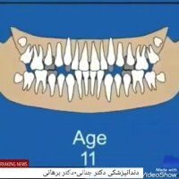 مراحل رشد و تکامل دندان انسان