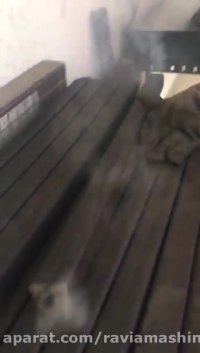 خط تولید ذغال فشرده - شرکت راویا ماشین