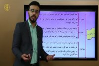 خلاقیت در زیست دوازدهم دکتر مهدی شیخی