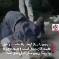مقام حضرت عباس در اروپا