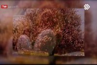 دکتر اسفندیار جلیل زاده / متخصص پیشگیری