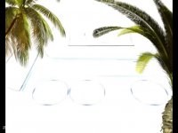 تفسیر قرآن - سوره احزاب - آیت الله سبحانی - 22