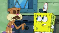 کارتون باب اسفنجی:: بلاهایی که سر پلانگتون میاد