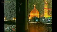 کلیپ زیارت امام حسین ع (دلتنگ کربلا)