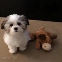 بهترین دوستت کیه؟