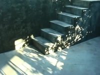 پله ها: فیلم کوتاه