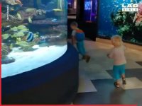 مسابقه هیجان انگیز و خنده دار