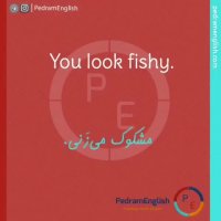 You look fishy