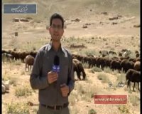 زندگی عشایر، نمونه اقتصاد درون زا