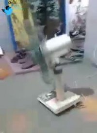 وقتی پنکه رو با الکل ضدعفونی میکنی...