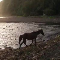 تایم لپسی از جزایر هاوایی