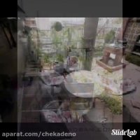 تنوع تراس سبز چکادبام سبز شهر